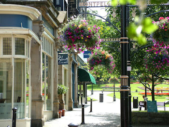 The Montpellier Quarter